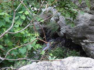 stoleone-09-08-2020 09